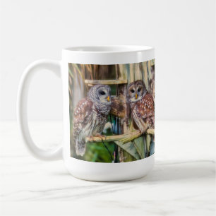2025_Barred Owl Mug