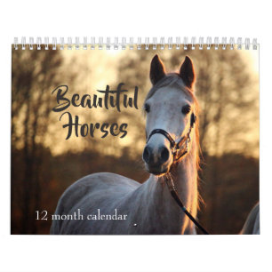2025 Beautiful Horses Calendar