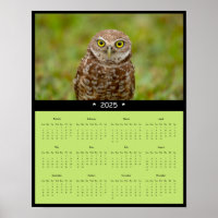 2025 Burrowing Owl Wall Calendar Poster