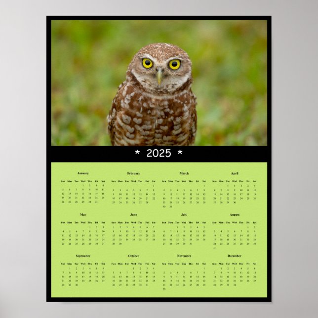 2025 Burrowing Owl Wall Calendar Poster (Front)
