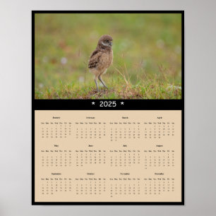 2025 Burrowing Owl Wall Calendar Poster