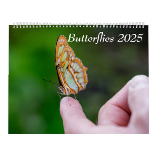 2025 Butterflies Calendar