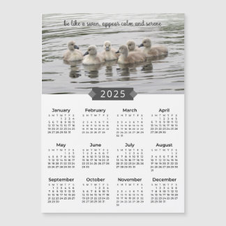 2025 Calendar Baby Swans Photograph Magnet