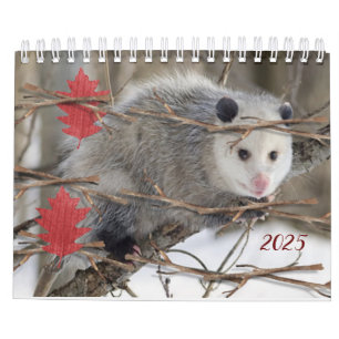 2025 Calendar Opossum Nature Wildlife