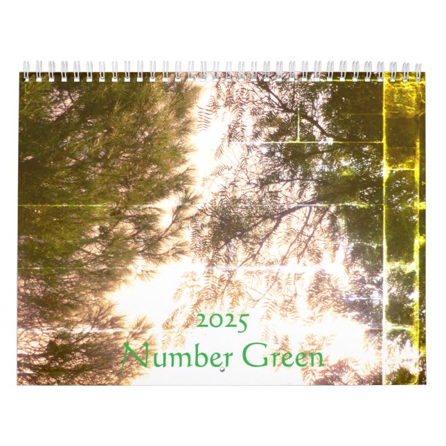 2025 Calendar Planner art and design  (Cover)