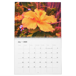 2025 Calendar with photography by Lindsay Strong 