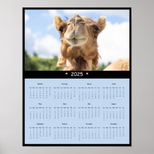 2025 Camel Wall Calendar Poster