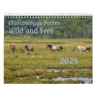 2025 Chincoteague Ponies 18 Month Calendar