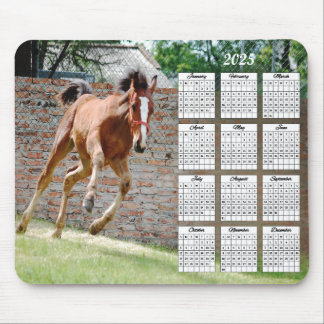 2025 Colt Running Calendar Mouse Pad