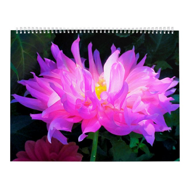 2025 Dahlia Flowers Calendar (Cover)