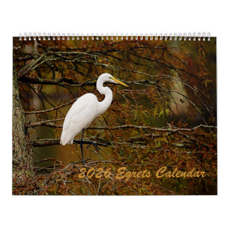 2025 Egrets Calendar