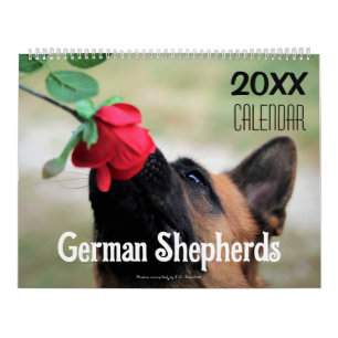 2025 German Shepherd Dog Wall Calendar Animal