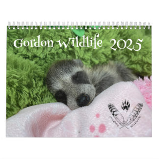 2025 Gordon Wildlife Racoon Calendar