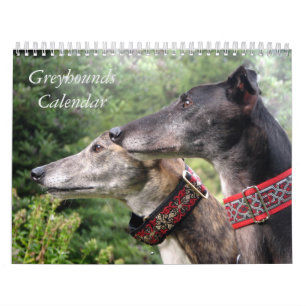 2025 Greyhound calendar