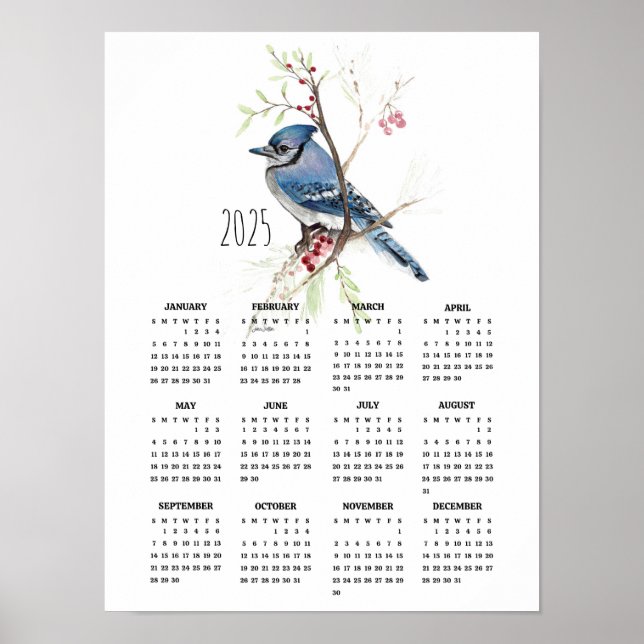 2025 Handsome Blue Jay Poster Calendar (Front)