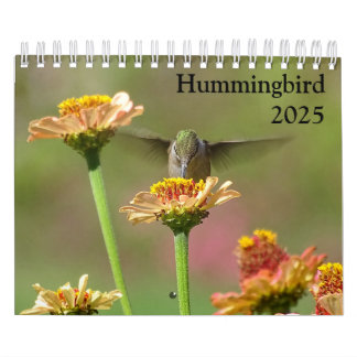 2025 Hummingbird Calendar