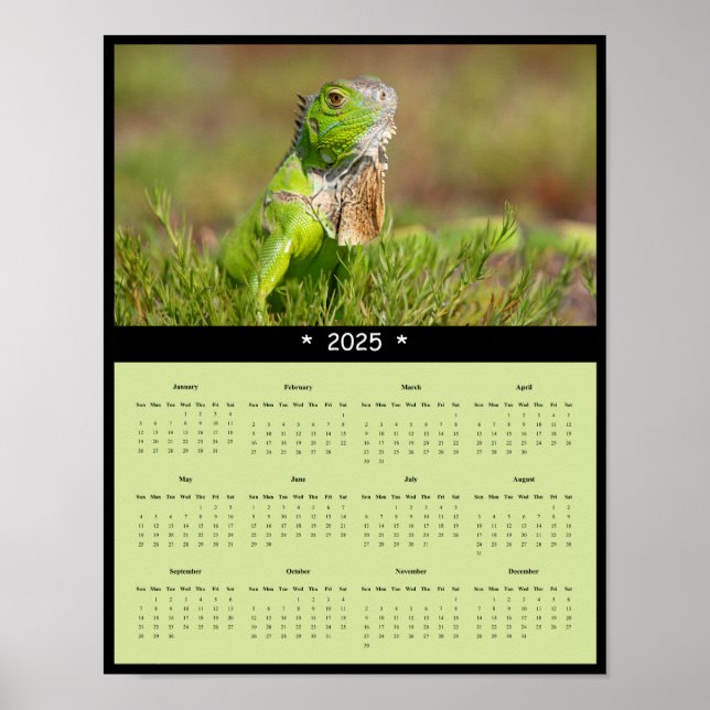 2025 Iguana Wall Calendar Poster (Front)