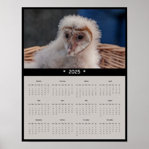 2025 Immature Barn Owl Wall Calendar Poster