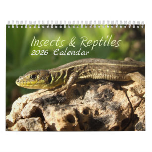 2025 Insects & Reptiles Calendar