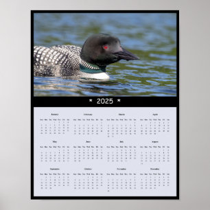 2025 Loon Wall Calendar Poster