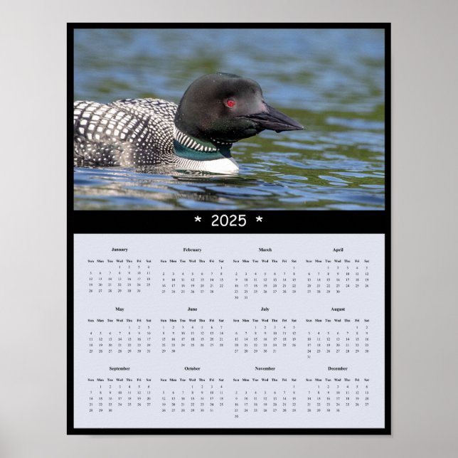 2025 Loon Wall Calendar Poster (Front)