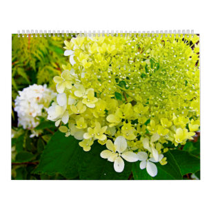 2025 My Rubio Garden Elegant Hydrangeas Calendar