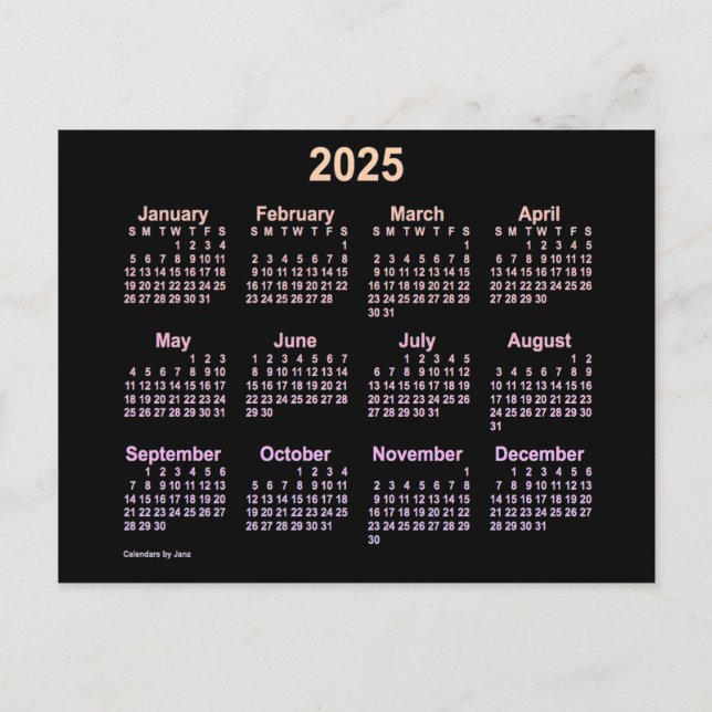 2025 Neon Ipanema Mini Calendar by Janz Postcard (Front)