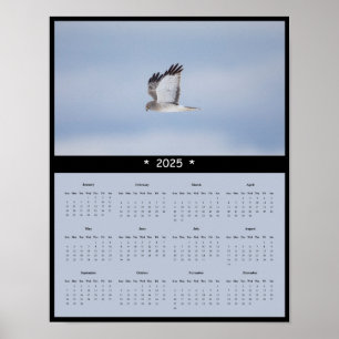 2025 Northern Harrier Hawk Wall Calendar Poster