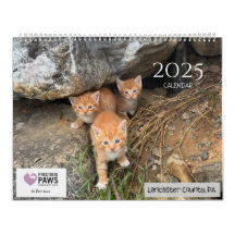 2025 Precious Paws
