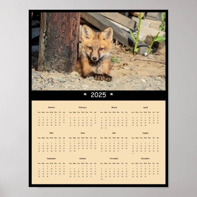 2025 Red Fox Kit Wall Calendar Poster (Front)