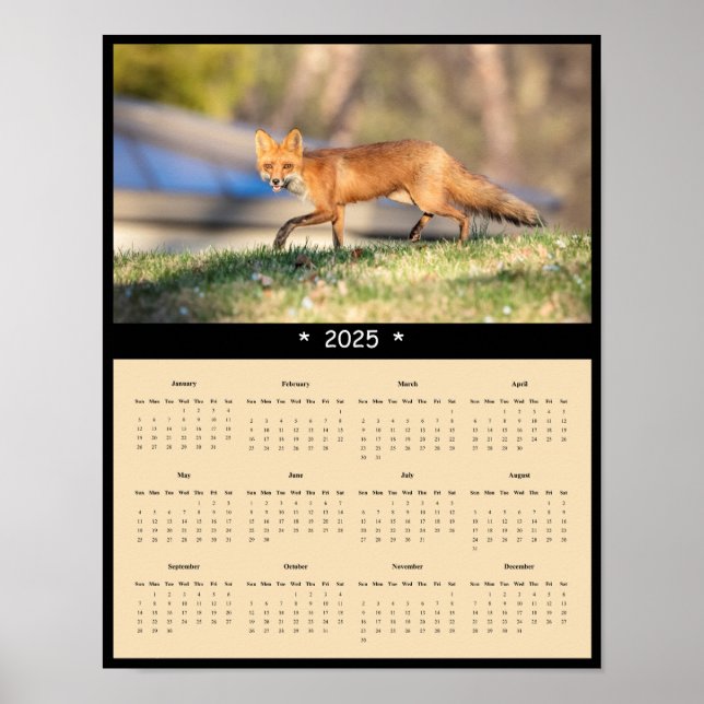 2025 Red Fox Wall Calendar Poster (Front)