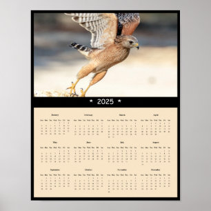 2025 Red Shouldered Hawk Wall Calendar Poster