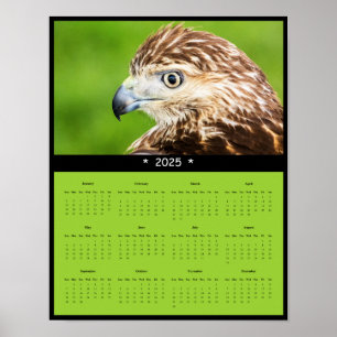 2025 Red-Tailed Hawk Wall Calendar Poster