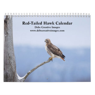2025 Red-Tailed Hawks in the Hudson Valley Calendar