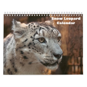 2025 Snow leopard Calendar