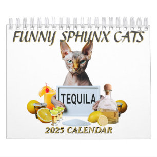 2025 Sphynx Cat Calendar   Funny Hairless Kittens 