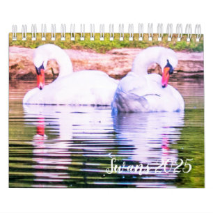 2025 Swan Calendar