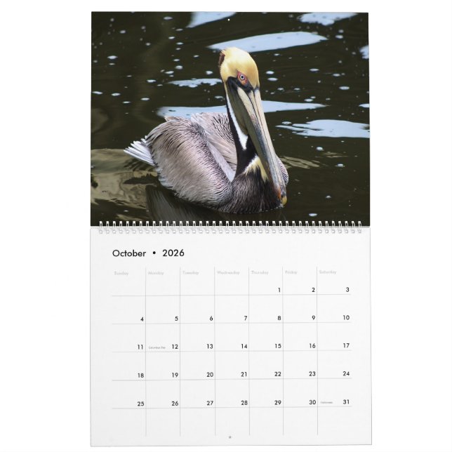 2025 Tropical Calendar, Beach Birds In Paradise  Calendar (Oct 2026)