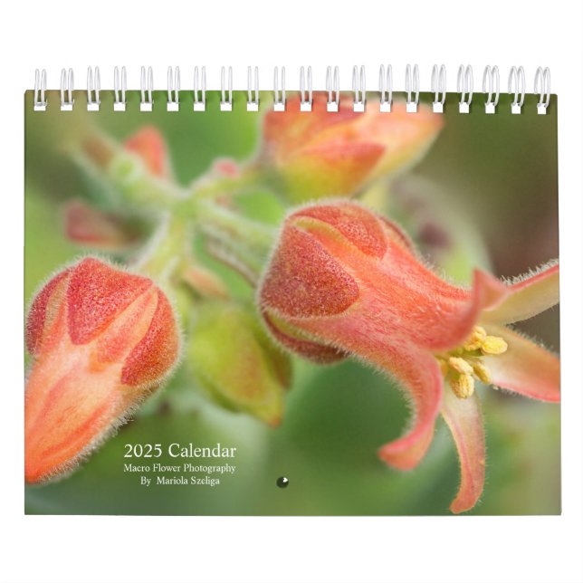 2025 Wall Calendar Flowers in Macro Photography (Cover)