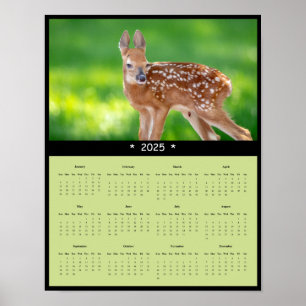 2025 White Tailed Deer Fawn Wall Calendar Poster