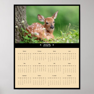 2025 White Tailed Deer Fawn Wall Calendar Poster