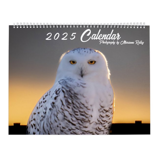 2025 Wildlife and Landscape Calendar (Cover)