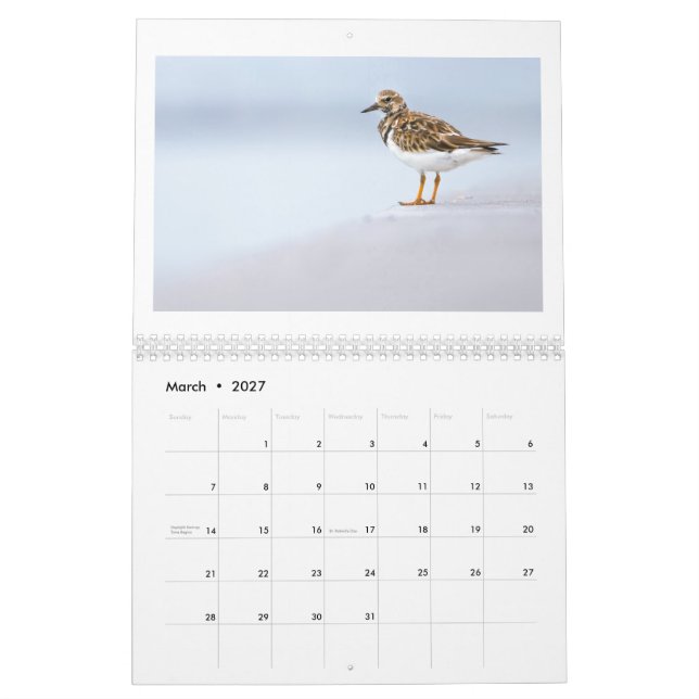 2025 Wildlife Photo Calendar (Mar 2027)