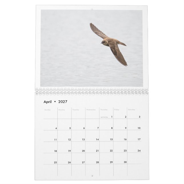 2025 Wildlife Photo Calendar (Apr 2027)