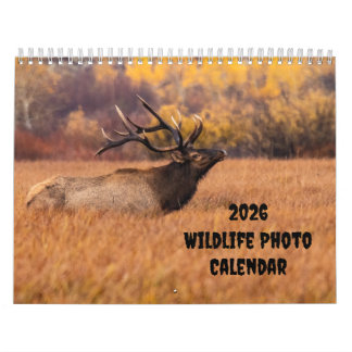 2025 Wildlife Photo Two Page Medium Calendar