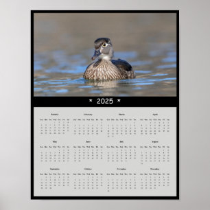 2025 Wood Duck Wall Calendar Poster