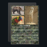 2025 Year Calendar Camouflage Add 3 Custom Photos Magnetic Invitation<br><div class="desc">This 2025 year, personalised monthly calendar magnet shows the days of the week for each month in white on a green and brown camouflage background. This is a simple, bold yearly calendar to help you conquer the new year. Always know what date it is and check the days of the...</div>