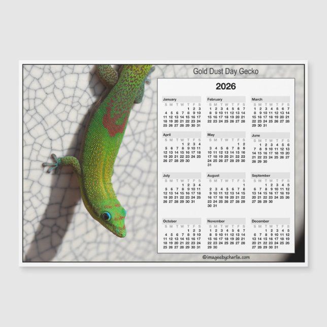 2026 5x7 Magnet Calendar Gold Dust Day Gecko (Front)