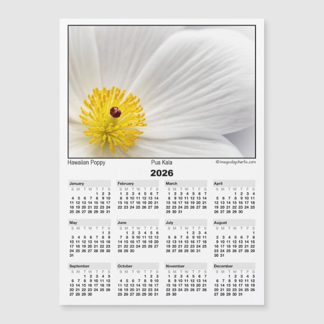 2026 5x7 Magnet Calendar Pua Kala Hawaiian Poppy (Front)