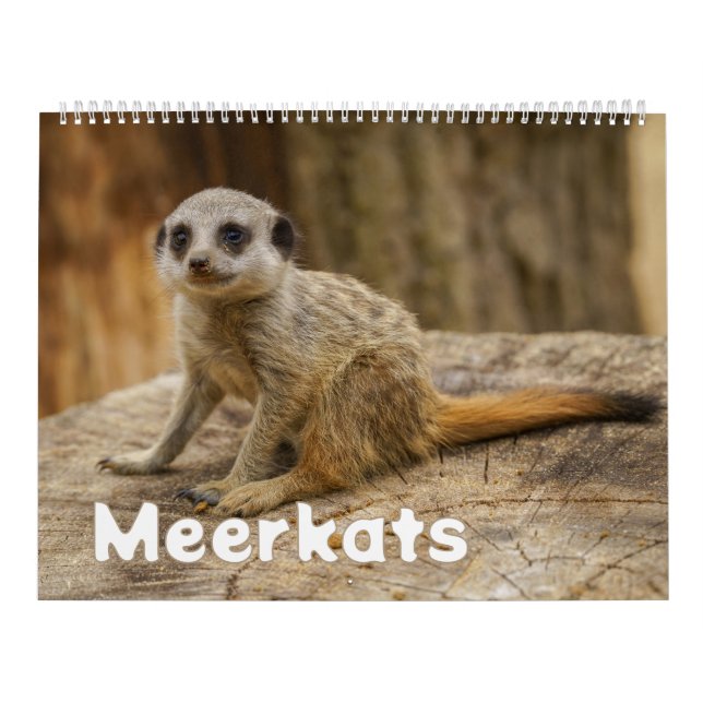 2026 A Year with Meerkats Calendar (Cover)